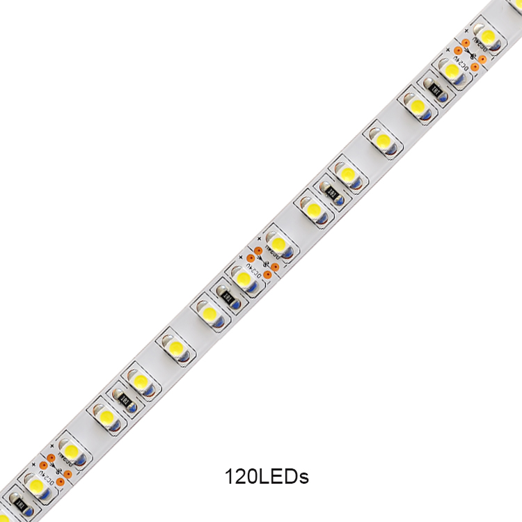 SMD 3528 24V 12V Strip Light 120leds/m
